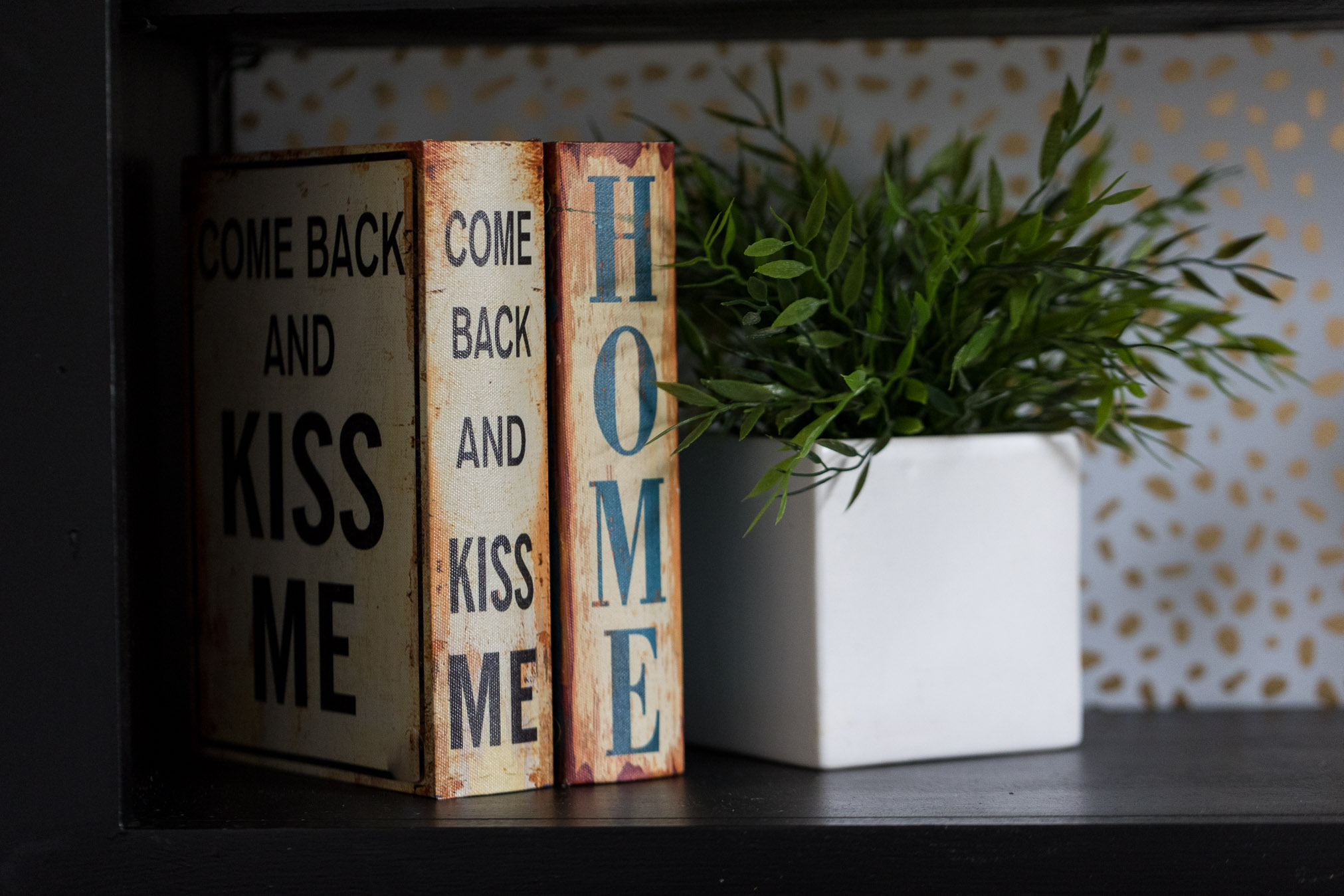 RH books and plant closeup (1)